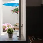 Vysta 3*