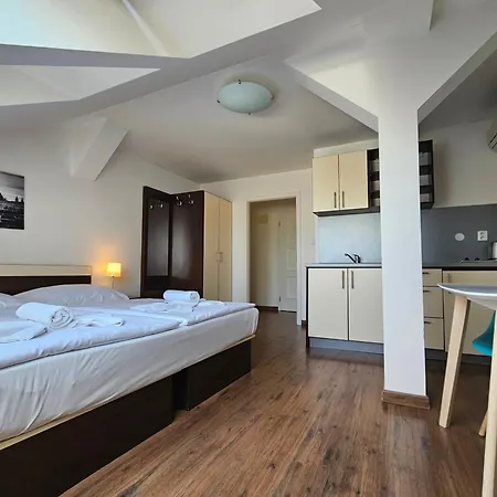 Vysta Hotel 3*